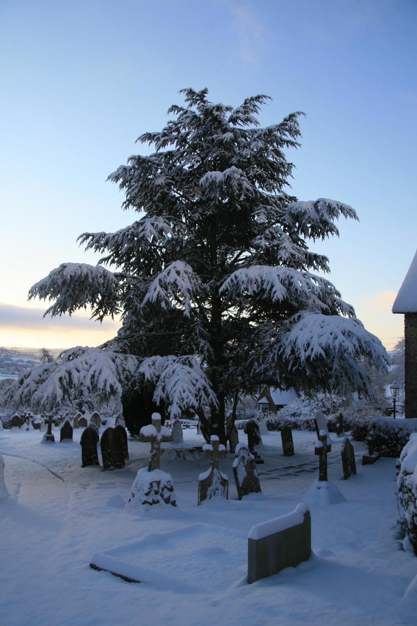 The Belfry At Yarcombe B&B 외부 사진